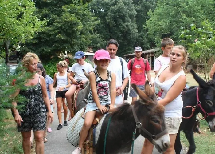 Kemping 4 Etoiles - Piscine - Ccbbihi *